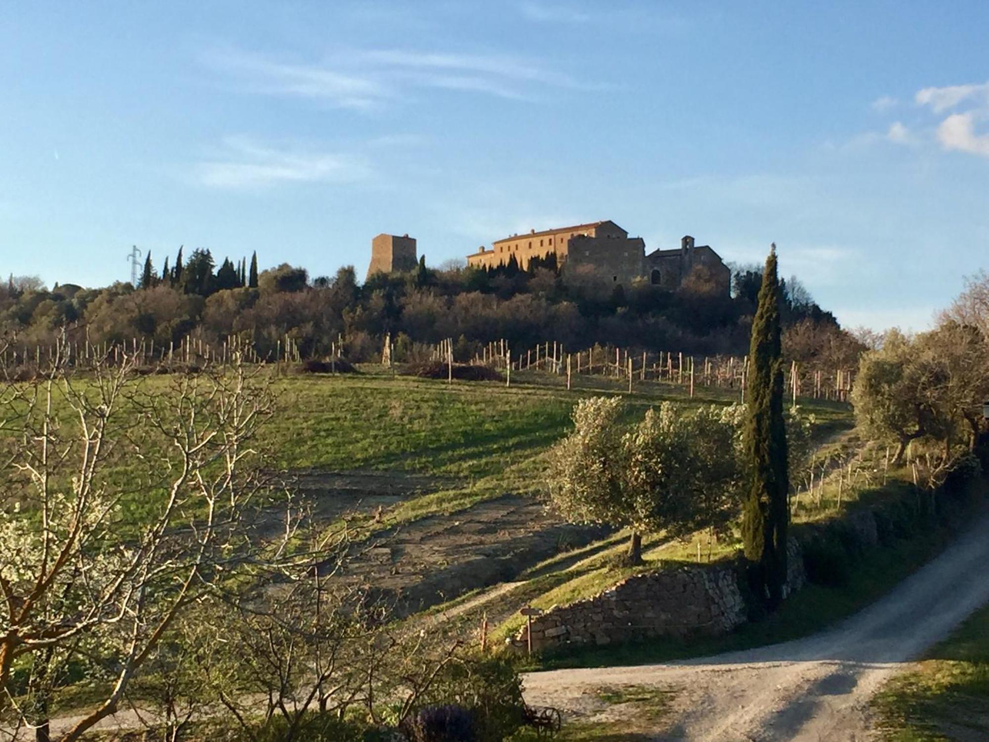 Agriturismo Le Querciole In Val D'Orcia Баньо-Виньони Экстерьер фото