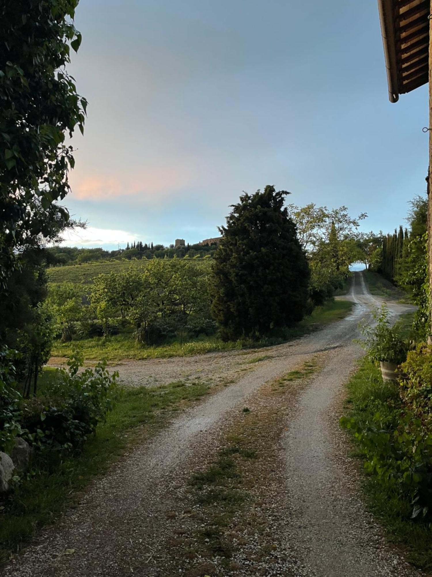 Agriturismo Le Querciole In Val D'Orcia Баньо-Виньони Экстерьер фото