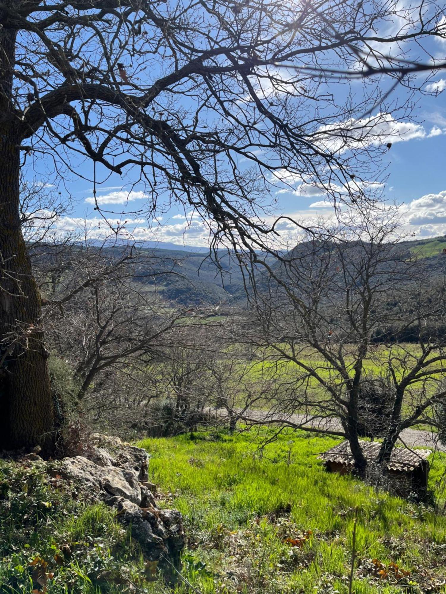 Agriturismo Le Querciole In Val D'Orcia Баньо-Виньони Экстерьер фото